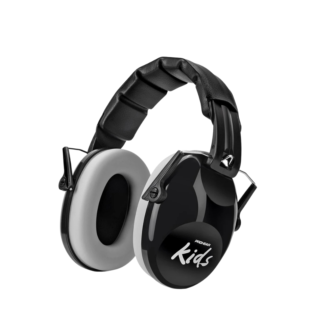 Noise Ninja 2.0 Black